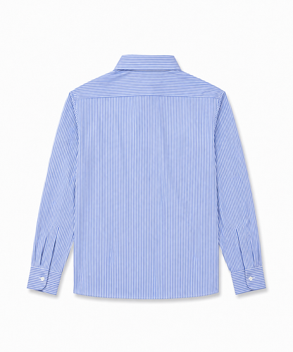 Blue Striped Shirt